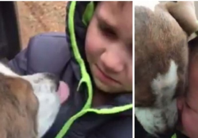 Dječak pronašao svog izgubljenog psa, a njihov ponovni susret će vas rasplakati (VIDEO)