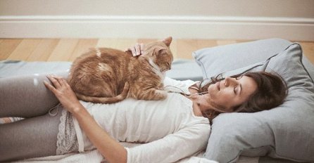 Mačka vam često leži na stomaku i prede? Nešto nevjerovatno se tada događa sa vašim tijelom!