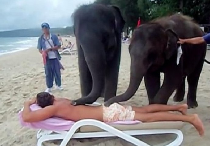Ležao je na plaži a onda su mu prišla dva slona, ono što je uslijedilo ćete posmatrati u nevjerici