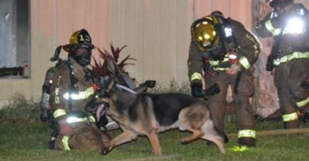 Najvjerniji i najhrabriji pas ikad: Došao niotkuda kako bi spasio dvoje djece zarobljene u požaru! (FOTO) 