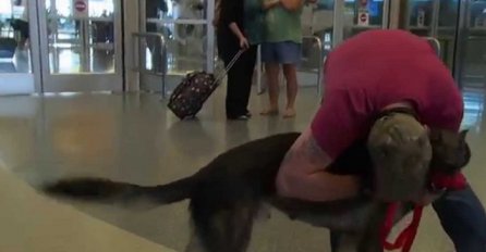 Ovaj pas je bio dugo vremena razdvojen od svog vlasnika, poslije 3 godine oni se konačno pronalaze (VIDEO)