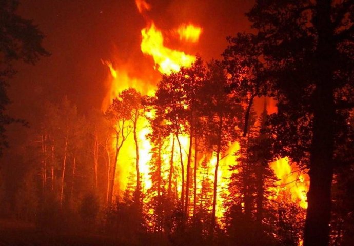 Ove godine u požarima na području FBiH smrtno stradalo 11 osoba
