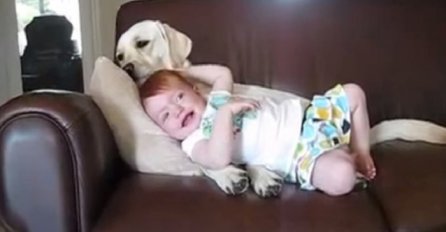 Pas je prišao bebi na kauču, ono što je uradio će vam rastopiti srce (VIDEO)