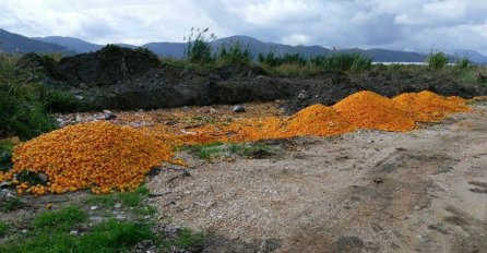 Fejsom se širi fotografija bačenih mandarina kod Opuzena, građani zgroženi