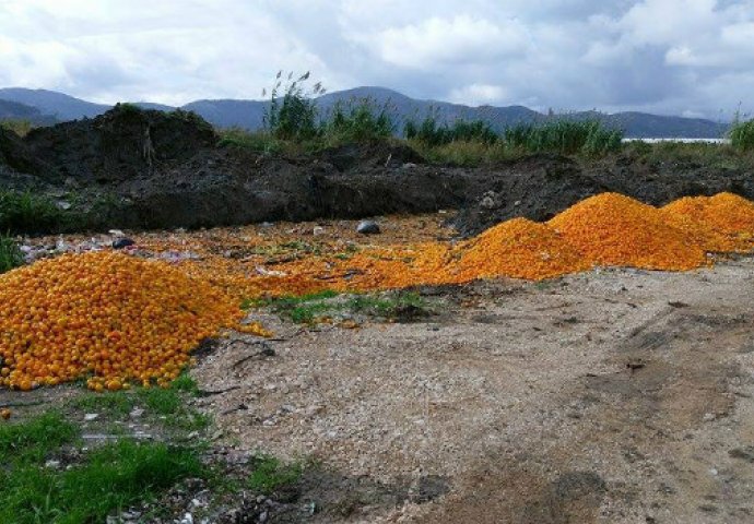 Fejsom se širi fotografija bačenih mandarina kod Opuzena, građani zgroženi