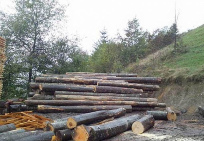 Nesreća u Borkovićima kod Banjaluke: Balvan usmrtio radnika 