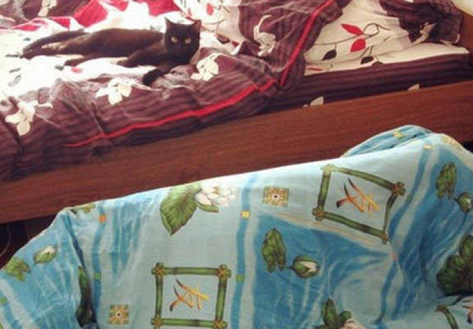 Neka se zna ko je gazda u kući: Fotografije koje to jasno i brutalno pokazuju