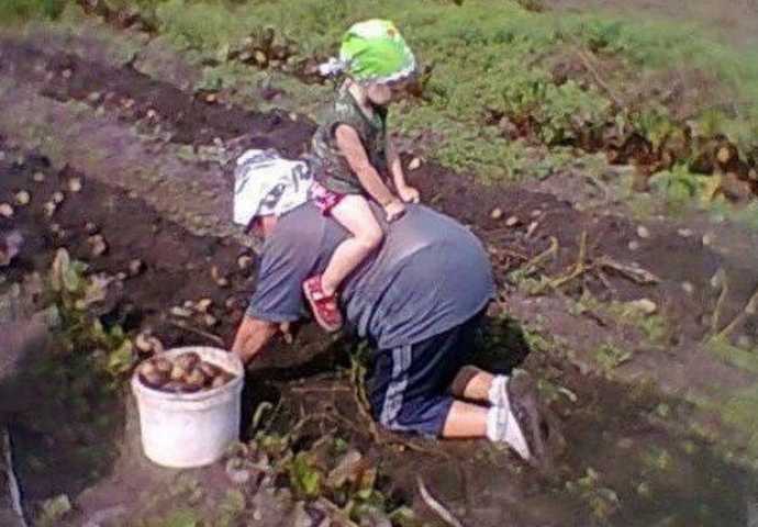 Neka se zna ko je gazda u kući: Fotografije koje to jasno i brutalno pokazuju