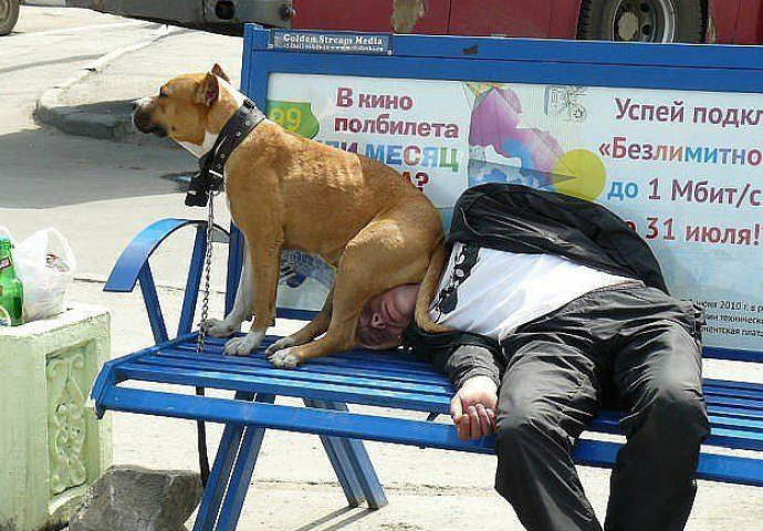 Neka se zna ko je gazda u kući: Fotografije koje to jasno i brutalno pokazuju
