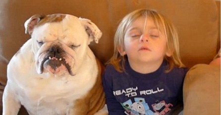 Mama uhvatila sina i bulldoga kako se preslatko istovremeno bore sa snom (VIDEO)