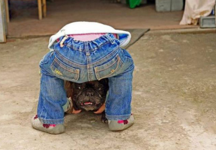 Da li vas to vid vara? Ove fotografije je "pametnije" pogledati dva puta jer su snimljene, baš u pravi čas