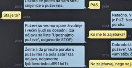 Dobro pa nije poludio: Neko se dobro zezao s njim i napravio urnebesno dopisivanje