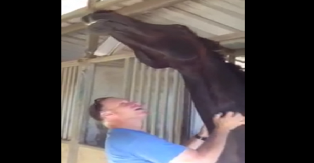 Htio je da napusti štalu, a onda je njegov konj uradio nešto što je nasmijalo milione (VIDEO)