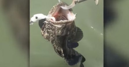 Upecao je ribu, ali nije mogao ni slutiti da će iz nje ovo izaći (VIDEO) 