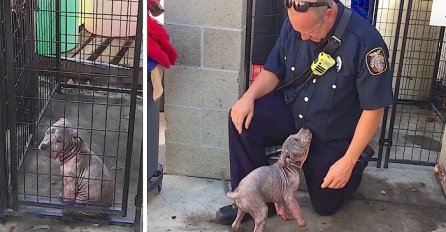Psić iz azila je bio veoma tužan, dok nije uočio vatrogasca koji ga je spasio od zlostavljanja (VIDEO)