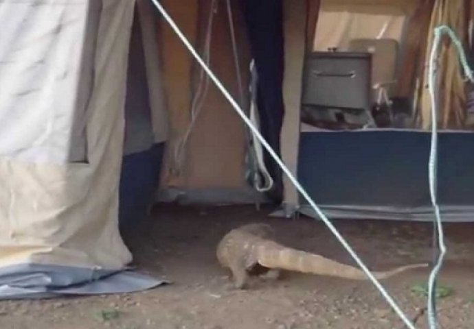 Spavale su u šatoru u Južnoj Africi, a onda ih je ujutro dočekao ovaj zastrašujući prizor (VIDEO)