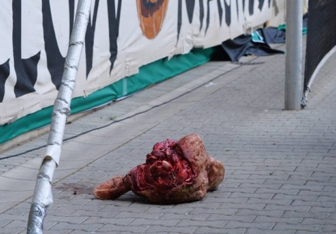 Žestoka kazna za Dynamo Dresden zbog bikove glave