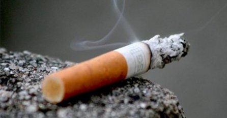 Visoke akcize ruše duhansku industriju