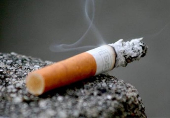 Visoke akcize ruše duhansku industriju
