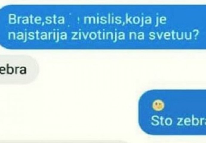 Najstarija životinja na svijetu? Ovako kreativan odgovor nikad ne biste očekivali 