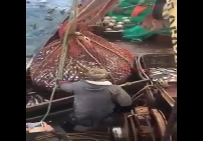 Ruski ribari iz vode izvukli mrežu punu ribe, no kada su je istresli uslijedilo je iznenađenje (VIDEO)