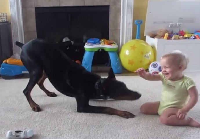 Niko nije očekivao da će ovako izgledati susret bebe i psa, ono što su uradili će vam rastopiti srce