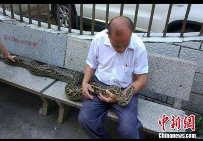 Živi sa džinovskim pitonom kojeg tretira kao rođeno dijete (FOTO)