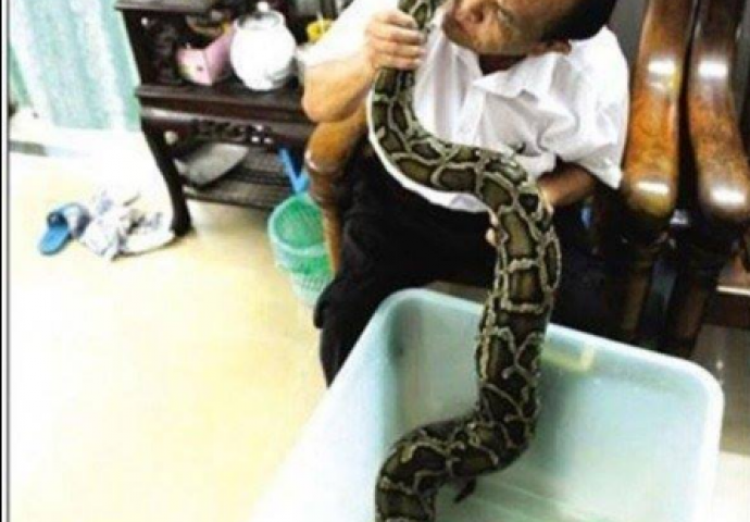 Živi sa džinovskim pitonom kojeg tretira kao rođeno dijete (FOTO)