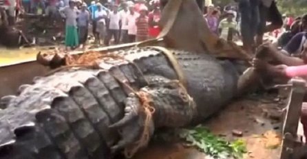 Htjeli su da spase krokodila, no nisu znali da će naletjeti na čudovište od jedne tone (VIDEO)