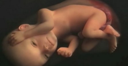 Najljepši događaj na svijetu: Devet mjeseci trudnoće za četiri minute (VIDEO)