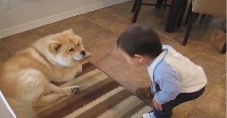 Beba i pas imaju najslađu raspravu na svijetu, ovo će vam rastopiti srce (VIDEO)