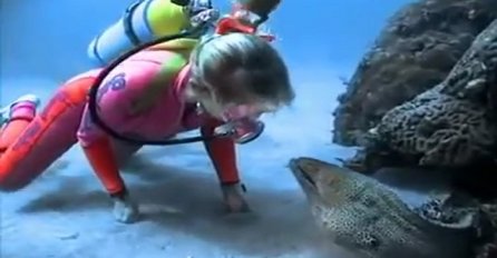 Ronila je u moru i vidjela džinovsku jegulju, ono što se zatim desilo je neopisivo (VIDEO)