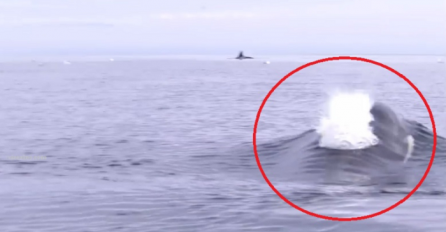 Zastrašujuće: Isplovio je na more, a onda je snimio nešto što će pamtiti cijelog života (VIDEO)