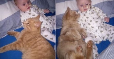 Kada vidite kako se ova mačka brine o bebi sa srčanom manom rastopit će vam se srce! 