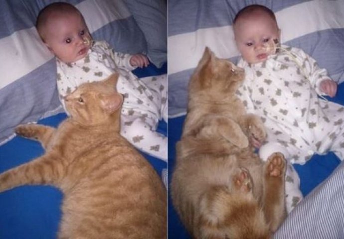 Kada vidite kako se ova mačka brine o bebi sa srčanom manom rastopit će vam se srce! 