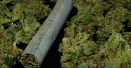 Banjalučka policija uhapsila maloljetnika zbog "rasturanja" marihuane