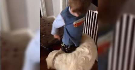 Pas je pronašao presmiješan način da zagrli svog najboljeg prijatelja (VIDEO)