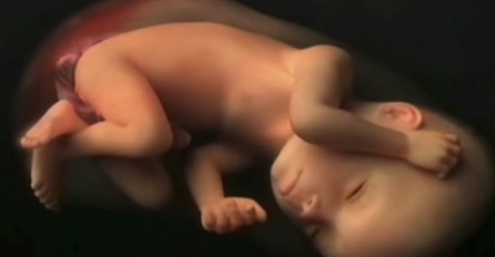 Najljepši video koji ćete danas vidjeti: Razvoj bebe u maternici od prvog do zadnjeg trenutka
