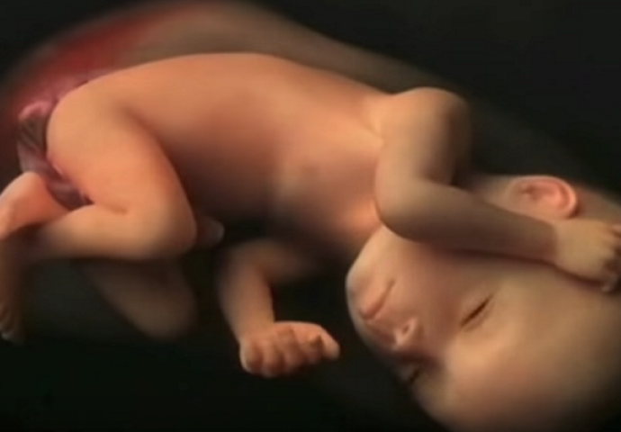 Najljepši video koji ćete danas vidjeti: Razvoj bebe u maternici od prvog do zadnjeg trenutka