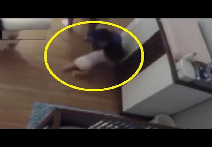 Mama samo trenutak nije obraćala pažnju na bebu, nastavak ćete posmatrati u nevjerici (VIDEO)