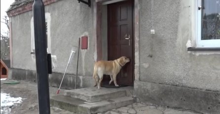 Ovaj pas želi ponovo u kuću ali niko ne otvara vrata, pogledajte šta je uradio u nastavku (VIDEO)