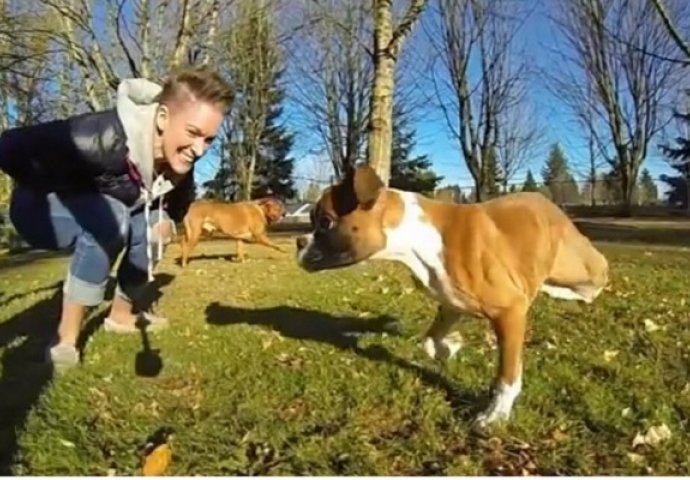 Dirljivo: Pas koji je izgubio dvije noge prvi put trči bez pomoćnih kolica (VIDEO)