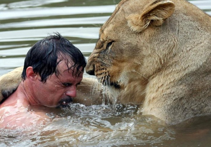 Pokušao je zagrliti lava, a onda se desilo nešto nevjerovatno (VIDEO)