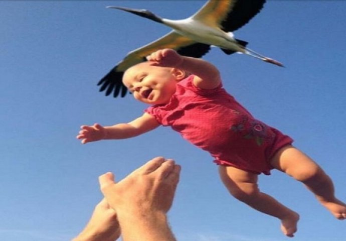 Pogledajte fotografije napravljene baš u pravom trenutku! Foto 7 je bez konkurencije