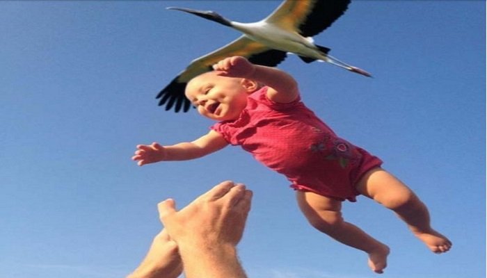 djecu-ne-donose-rode