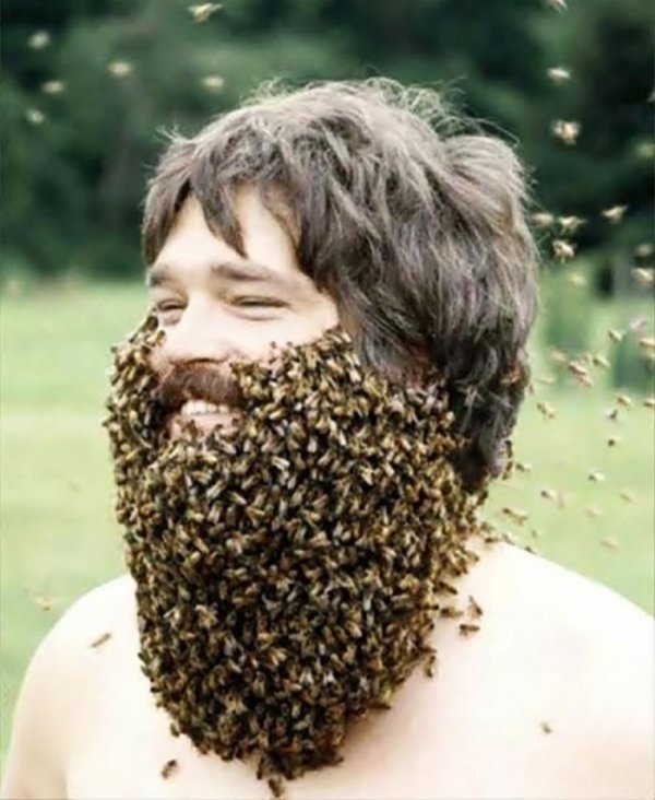 nadamo-se-da-su-lajkovi-vredni-ovoliko-potencijalnih-uboda-1