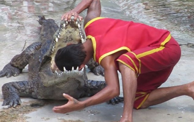 ova-predstava-se-u-trenutku-moze-pretvoriti-u-tragediju-8