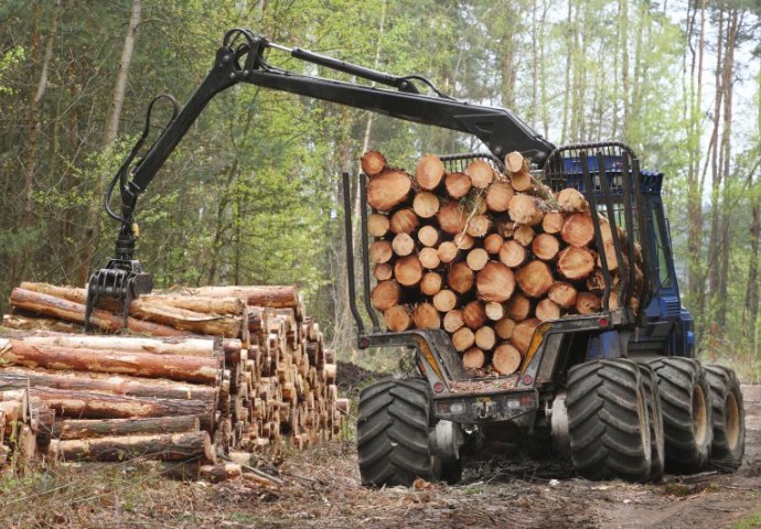 Proizvodnja šumskih sortimenata u padu za 6,63 posto
