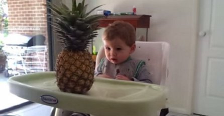 Stavio je ananas ispred svog malog djeteta: Pripremite maramice, brisat ćete suze s lica (VIDEO)