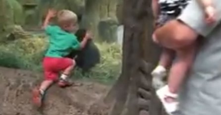 Dječak  se popeo kod gorile, a ovako nešto slatko stvarno nismo očekivali (VIDEO)
